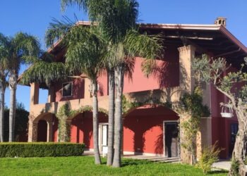 Villa di Briano, coltiva cannabis in una villa monofamiliare: arrestato 24enne (Foto)