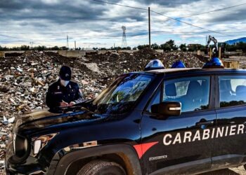 Comando Regione Carabinieri Forestale. Rapporto “attività 2021”. Sanzioni per oltre 4 milioni di euro. (Video e foto)