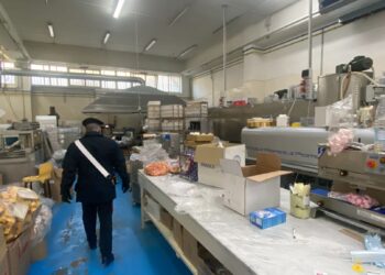 Casandrino, sequestrati 3 quintali di dolci per le “calze” dell’Epifania (Foto)