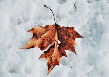 Ondata di gelo in arrivo dai Balcani: prevista neve a bassa quota