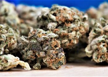 San Marcellino, trasforma casa in bazar della droga: pusher arrestato