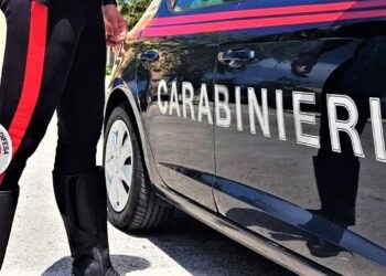 Caserta, droga nascosta nel muro del cimitero: intervengono i carabinieri