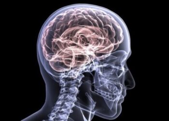 Il Covid-19 causa danni transitori o permanenti al cervello