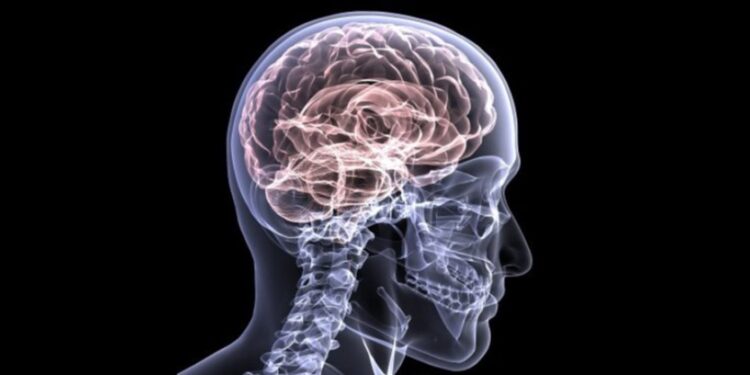 Il Covid-19 causa danni transitori o permanenti al cervello