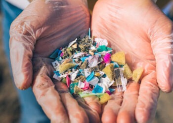 Rischio per la salute