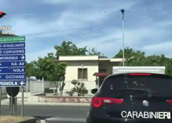 Operazione antidroga tra il Nolano, Salerno e Benevento: indagate 10 persone (Video)