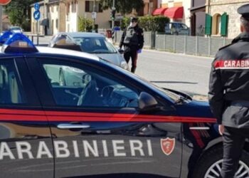 Napoli, a Soccavo armi e droga nascoste nelle aiuole di Via Romolo e Remo