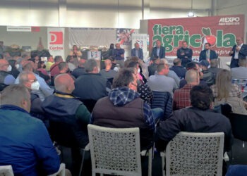 Il “suino di razza casertana” diventa un marchio di qualità