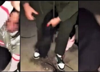 Caivano, ragazza massacrata di botte in strada: il video diventa virale