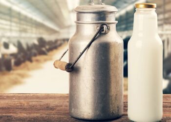 Latte e formaggi, costi schizzati in alto del 30%: gli effetti economici della guerra in Ucraina