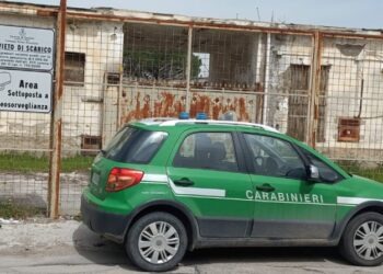 Saviano, sequestrata un’area di circa 2mila metri quadrati trasformata in discarica