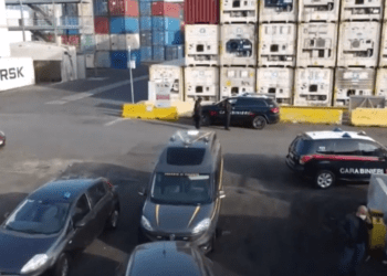Salerno, blitz al porto, maxi sequestro di droga: scoperto container con 157 chili di cocaina