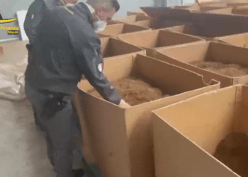 Gdf Napoli scopre fabbrica clandestina di sigarette, vicino Milano: arrestati 2 campani