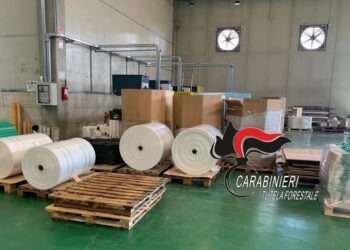 Buste della spesa illegali, sequestrate 3 quintali di shopper: 37enne di Volla denunciato (Foto)