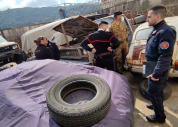 Terra dei fuochi: sequestrate 8 aziende e comminate sanzioni per oltre mezzo milione di euro