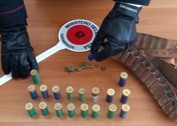 Blitz al Parco Verde, i carabinieri trovano munizioni calibro 12