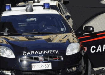 Furti in case e aziende agricole: blitz nel Casertano e in tutta Italia, 15 arresti