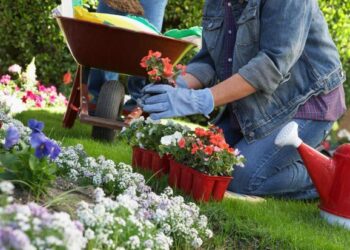 Bonus verde 2022: tutti i dettagli alla detrazione per giardini e terrazzi
