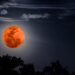 Questa notte l’eclissi totale di Luna: l’evento astronomico più atteso del 2022, gli orari e dove vederla