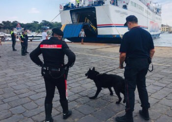 Ischia, controlli serrati sull’isola da parte dei carabinieri: 5 denunce e numerose sanzioni