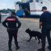 Ischia, controlli serrati sull’isola da parte dei carabinieri: 5 denunce e numerose sanzioni