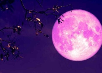 È la seconda ‘Superluna delle Fragole’ del 2022: sarà al Perigeo stanotte 15 giugno alle 01:23 italiane
