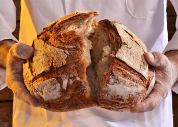 Il pane migliore d’Italia: la classifica dei panifici del Gambero Rosso