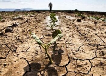 Allarme siccità. Danni per due miliardi di euro in agricoltura