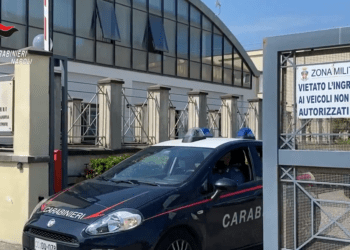 Monti Lattari, duro colpo al narcotraffico: 1 arresto e sequestro di armi da guerra coca e marijuana (Video e foto)