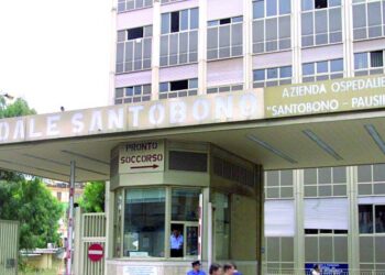 Bimba di 2 anni azzannata da un rottweiler: è grave al Santobono