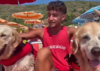 Cinque ragazzi rischiano di annegare a Palinuro: salvati da due cani bagnini