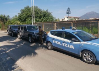 Operazione interforze nella ‘Terra dei Fuochi’: 5 attività sequestrate e oltre 153 mila euro di sanzioni (Foto)