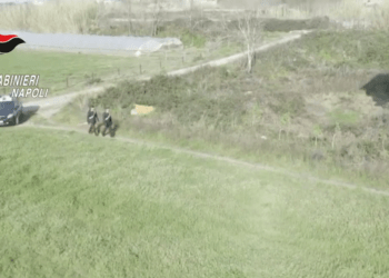 Licola, in un’abitazione cani lasciati morire tra i rifiuti: Carabinieri denunciano 50enne (Video)