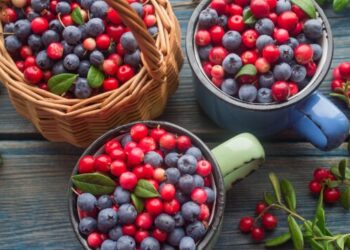 Mirtillo rosso o mirtillo nero? Proprietà e benefici del frutto più amato dell’estate