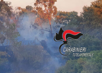 Incendio nel Parco Regionale del Partenio, nel Comune di Roccarainola: 55enne denunciato