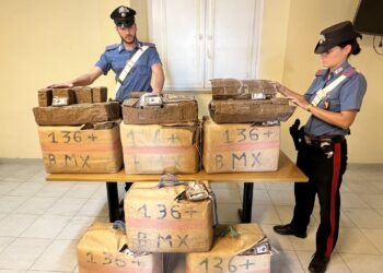 Casoria, maxi sequestro di droga: 231 chili di hashish, vale oltre 2milioni di euro (Video e foto)