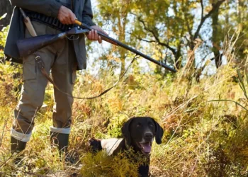 Stagione di caccia in Campania, il Tar sospende l’apertura dell’attività venatoria