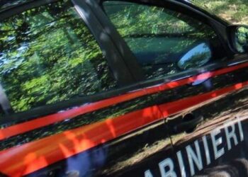 Residui di oli combustibili esausti sversati in un terreno a Marigliano: Scattano denunce e sequestro