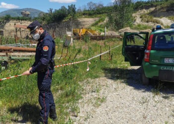Controlli dei carabinieri forestali a Palma Campania e Tufino: 3 persone denunciate