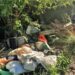 La scoperta a Gricignano: campagne invase da rifiuti pericolosi (Foto e video)