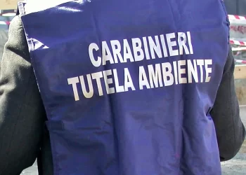 Sequestri e denunce per reati ambientali nell’area tra Casandrino e Grumo Nevano