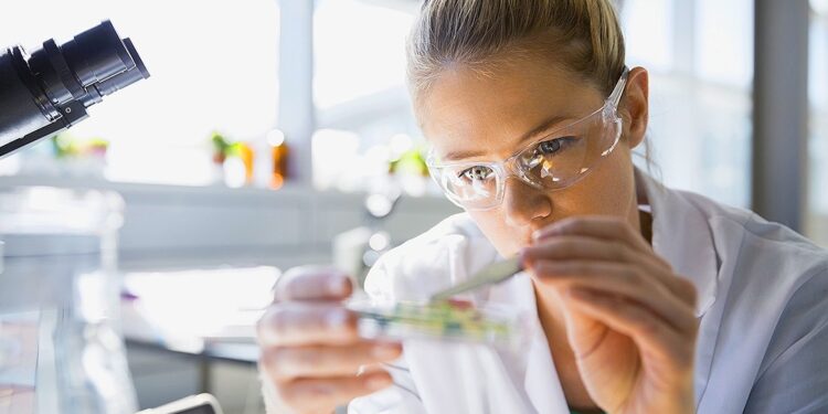Focused scientist using tweezers in petri dish