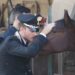 Casal di Principe, un cammello e altri animali in un fondo: Denunciato dai carabinieri (Video e foto)