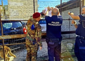 Terra dei fuochi, vasta operazione delle forze dell’ordine: sanzioni per oltre 1milione di euro e 10 aziende chiuse (Foto)