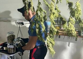 Operazione “Alto impatto”: perlustrati i Comuni di Somma Vesuviana,  Casalnuovo, Castello di Cisterna e Sant’Anastasia, rinvenuti droga e armi