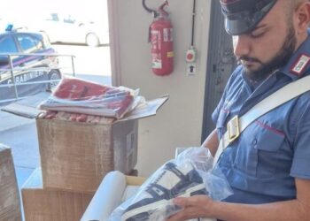 Casandrino, vendita on line di prodotti contraffatti: sequestrati svariati capi di abbigliamento
