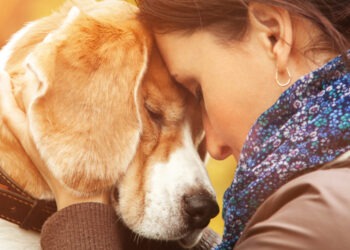I cani rilevano il nostro stress annusandoci: studio condotto dall’Università di Belfast
