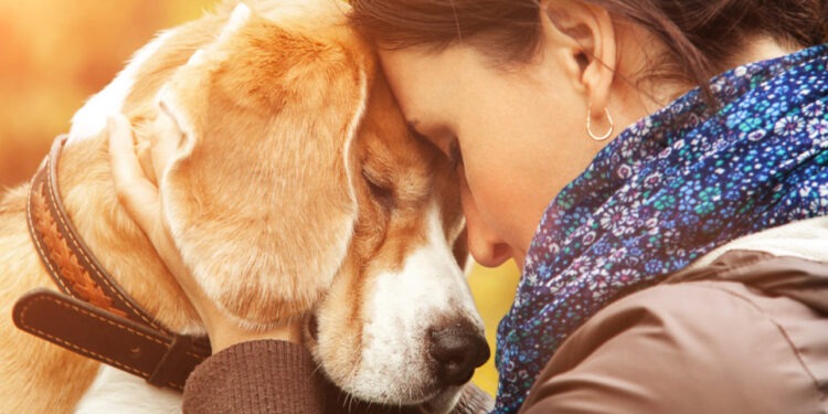 Woman with her dog tender scene
