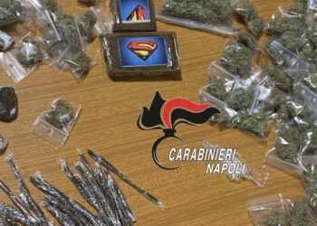 Napoli, Poggioreale e Ponticelli: Controlli anti droga dei Carabinieri. Un arresto e sequestri