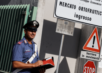 Intossicazione da mandragora, verdure contaminate distrutte: Allerta dell’Asl Caserta, no a spinaci freschi nelle scuole